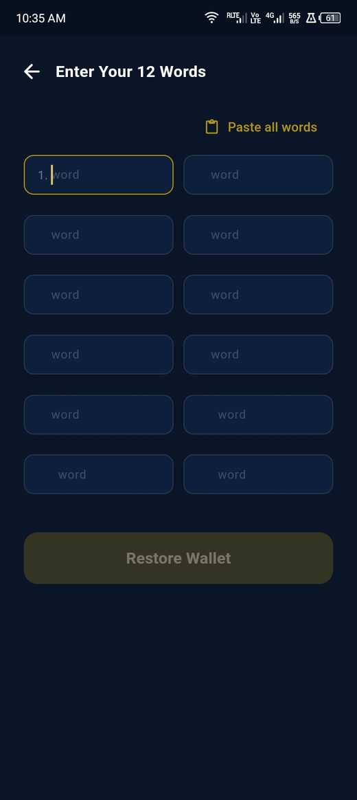Enter your 12 recovery words